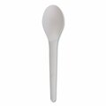 Eco-Products Plantware Compostable Cutlery, Spoon, 6 in., White, 1000PK EP-S013-W